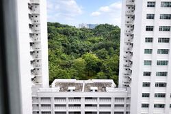 Blk 70C Telok Blangah Ridgeview (Bukit Merah), HDB 4 Rooms #520413551